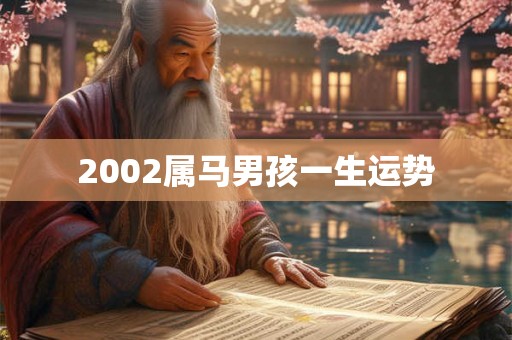 2002属马男孩一生运势