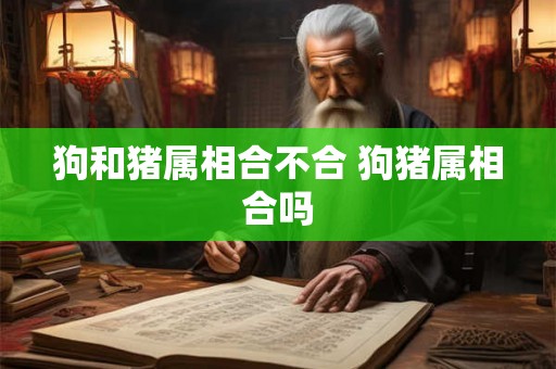 狗和猪属相合不合 狗猪属相合吗