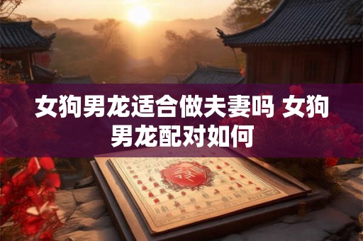 女狗男龙适合做夫妻吗 女狗男龙配对如何