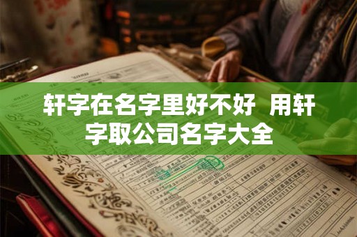 轩字在名字里好不好  用轩字取公司名字大全