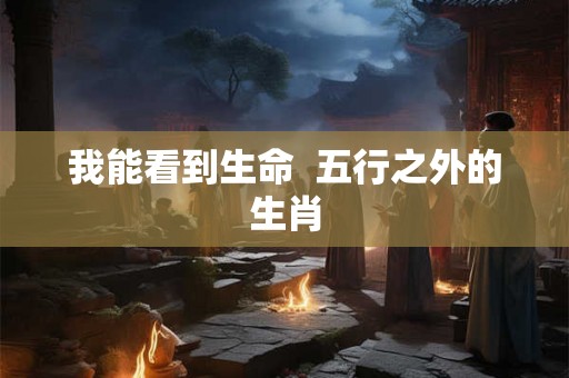 我能看到生命  五行之外的生肖