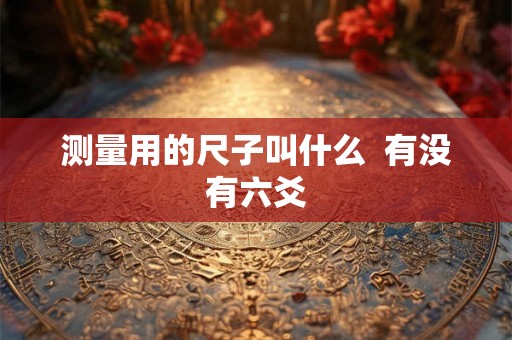 测量用的尺子叫什么  有没有六爻