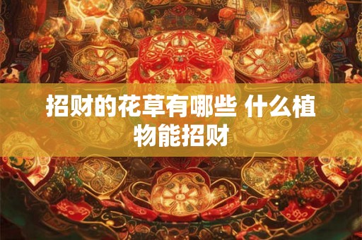 招财的花草有哪些 什么植物能招财 招财的花草有哪些 什么植物能招财