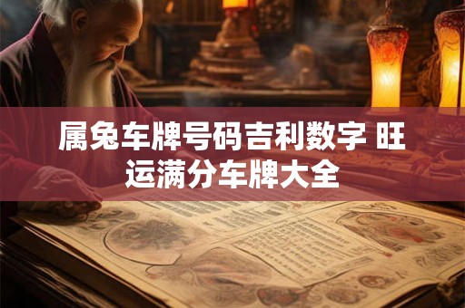 属兔车牌号码吉利数字 旺运满分车牌大全 属兔车牌号码吉利数字 旺运满分车牌大全