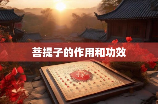 菩提子的作用和功效