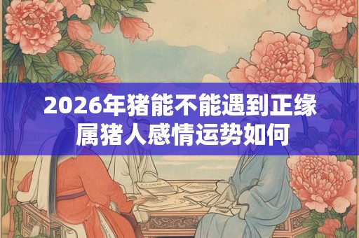 2026年猪能不能遇到正缘 属猪人感情运势如何