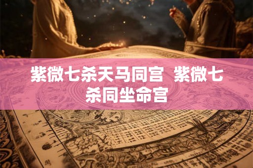 紫微七杀天马同宫  紫微七杀同坐命宫