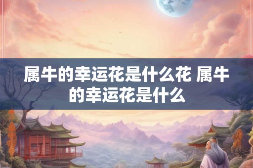 属牛的幸运花是什么花 属牛的幸运花是什么
