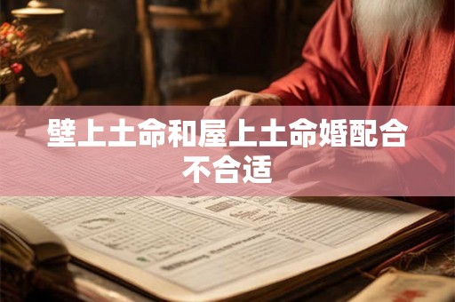 壁上土命和屋上土命婚配合不合适