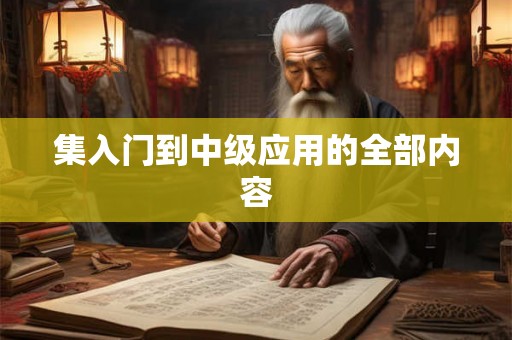 集入门到中级应用的全部内容