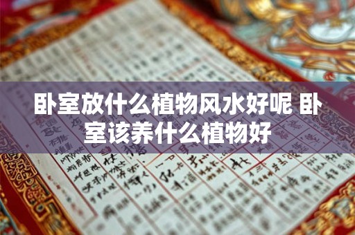 卧室放什么植物风水好呢 卧室该养什么植物好