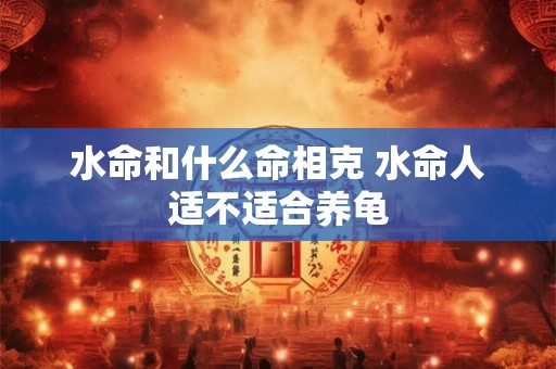 水命和什么命相克 水命人适不适合养龟