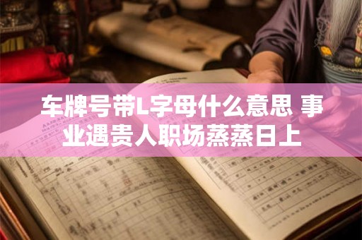 车牌号带L字母什么意思 事业遇贵人职场蒸蒸日上