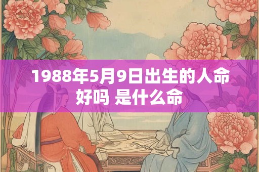 1988年5月9日出生的人命好吗 是什么命