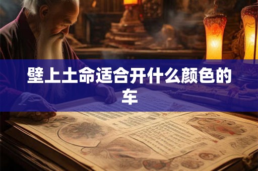 壁上土命适合开什么颜色的车