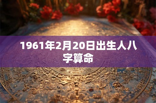 1961年2月20日出生人八字算命