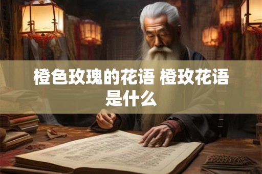 橙色玫瑰的花语 橙玫花语是什么