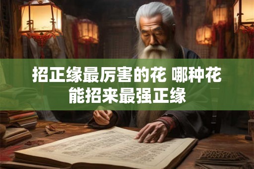 招正缘最厉害的花 哪种花能招来最强正缘