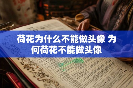 荷花为什么不能做头像 为何荷花不能做头像