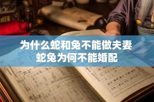 为什么蛇和兔不能做夫妻 蛇兔为何不能婚配 为什么蛇和兔不能做夫妻 蛇兔为何不能婚配