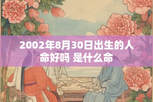 2002年8月30日出生的人命好吗 是什么命