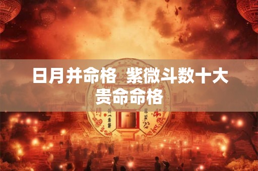 日月并命格  紫微斗数十大贵命命格