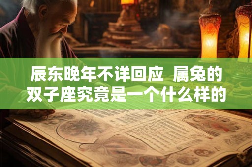 辰东晚年不详回应  属兔的双子座究竟是一个什么样的人