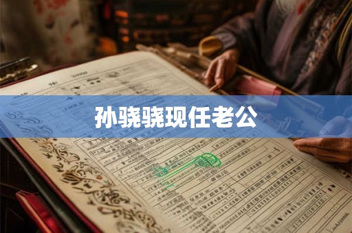 孙骁骁现任老公