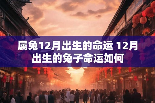 属兔12月出生的命运 12月出生的兔子命运如何