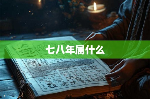 七八年属什么