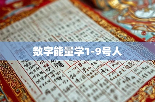 数字能量学1-9号人
