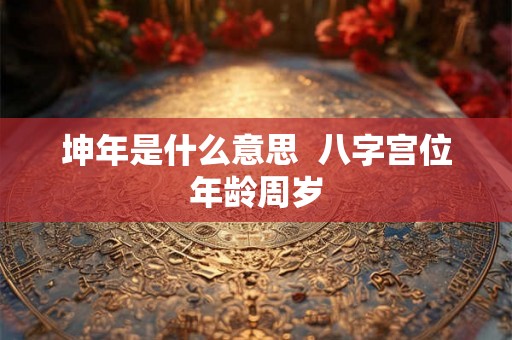 坤年是什么意思  八字宫位年龄周岁