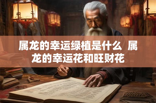 属龙的幸运绿植是什么  属龙的幸运花和旺财花