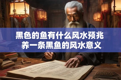 黑色的鱼有什么风水预兆  养一条黑鱼的风水意义