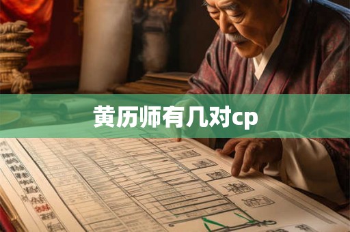 黄历师有几对cp