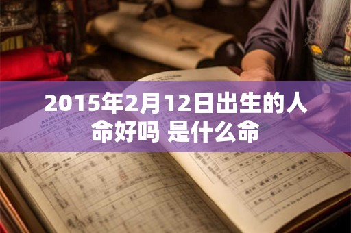 2015年2月12日出生的人命好吗 是什么命