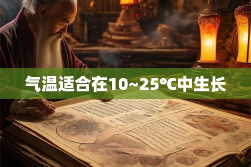气温适合在10~25℃中生长