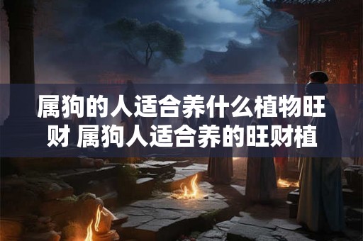 属狗的人适合养什么植物旺财 属狗人适合养的旺财植物