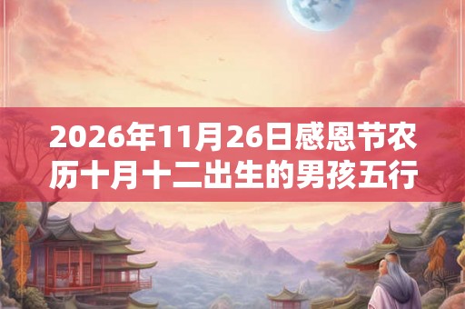 2026年11月26日感恩节农历十月十二出生的男孩五行缺什么