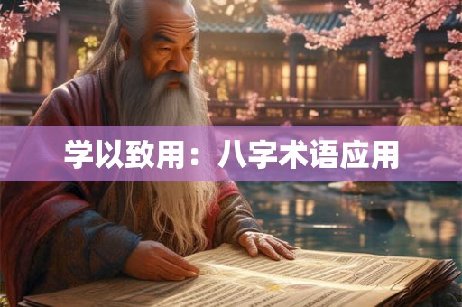 学以致用：八字术语应用