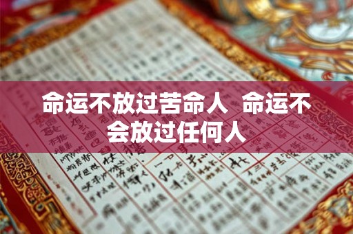 命运不放过苦命人  命运不会放过任何人