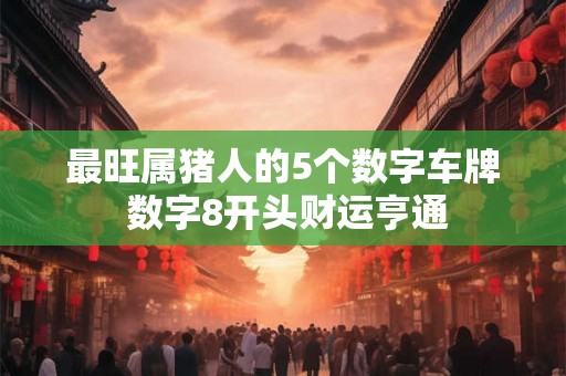 最旺属猪人的5个数字车牌 数字8开头财运亨通 最旺属猪人的5个数字车牌 数字8开头财运亨通