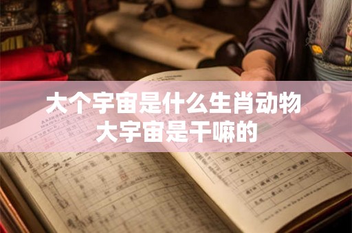 大个宇宙是什么生肖动物 大宇宙是干嘛的 大个宇宙是什么生肖动物 大宇宙是干嘛的