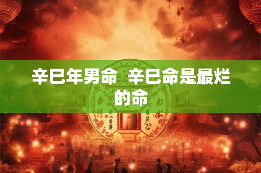辛巳年男命  辛巳命是最烂的命
