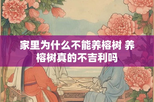 家里为什么不能养榕树 养榕树真的不吉利吗