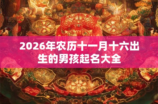 2026年农历十一月十六出生的男孩起名大全