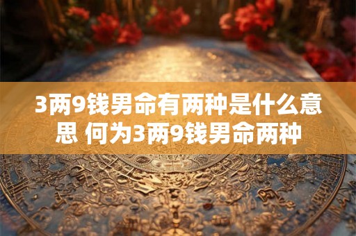 3两9钱男命有两种是什么意思 何为3两9钱男命两种