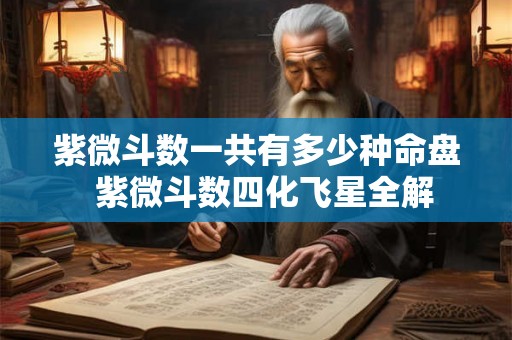 紫微斗数一共有多少种命盘  紫微斗数四化飞星全解