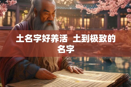 土名字好养活  土到极致的名字