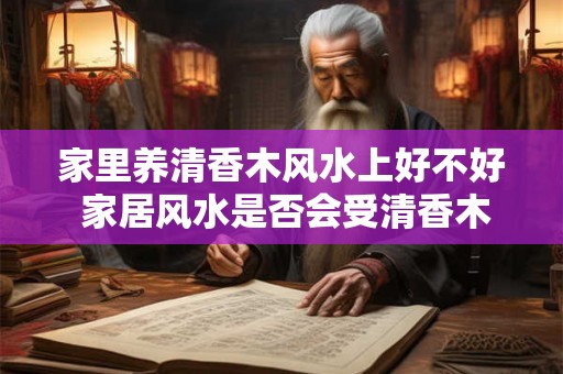 家里养清香木风水上好不好 家居风水是否会受清香木的养殖影响